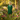 Green Summer Poncho - Eco-friendly & Fairtrade Cotton Tunic - Quetzal Artisan