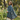 yodel-id:M1VLrINHwEkD4vcD