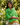 Green Lemon Shawl - Extra Large Woven Fair Trade Plaid Wrap - Quetzal Artisan